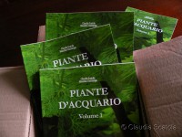 /album/libri-di-claudia-scatola/volume-1-c-rid-m-jpg/